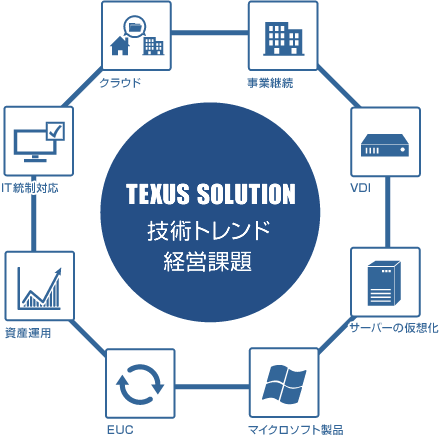 TEXUS SOLUTION